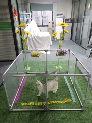 Jardim de segurança acrílico pesado desmontável para gatos e cães grandes vedação transparente