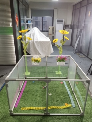 12 painéis vedação visível animal de estimação acrílico playpen cão para répteis espessura personalizada 3mm