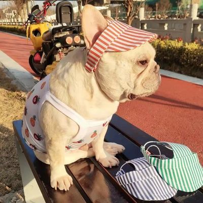 OEM ODM aceitável personalizado Moderno Pet Hat Cão Baseball Cap Estilo Moderno