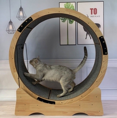Quadro de escalada de gato de fibra de cartão roda de gato esteira silêncio exercício de corrida brinquedo para gatos