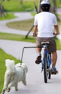 Animais de estimação de corrida de bicicleta Leash de cão mãos Leash de bicicleta livre para cães negros