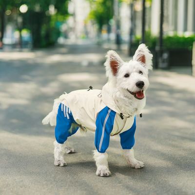 Roupas para animais de estimação casaco impermeável padrão animal tamanho pequeno para cães Verão/Primavera
