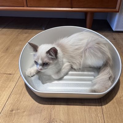 Tapete de cama de gato refrigerante lavável à mão para material de alumínio de verão e resistente a mordidas