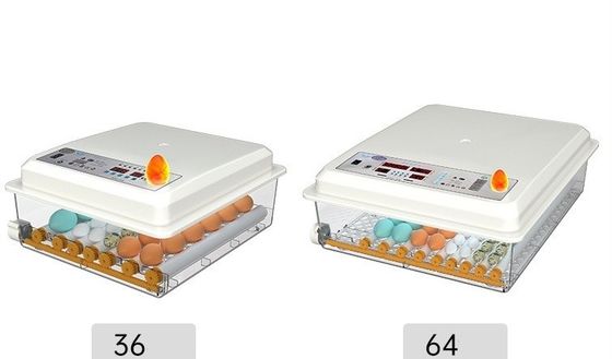 Incubadora doméstica do porto de Xangai ou de Nanjing para incubação de ovos de frango, pato, ganso e pombo