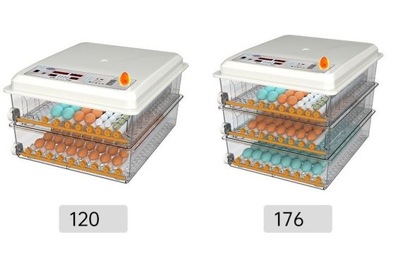 Incubadora doméstica do porto de Xangai ou de Nanjing para incubação de ovos de frango, pato, ganso e pombo