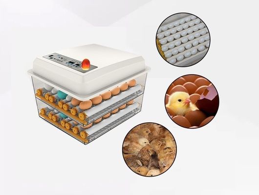 Incubadora doméstica do porto de Xangai ou de Nanjing para incubação de ovos de frango, pato, ganso e pombo