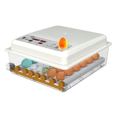 16 ovos mini-incubadora automática digital para outros produtos para animais de estimação dentro do porto de embarque
