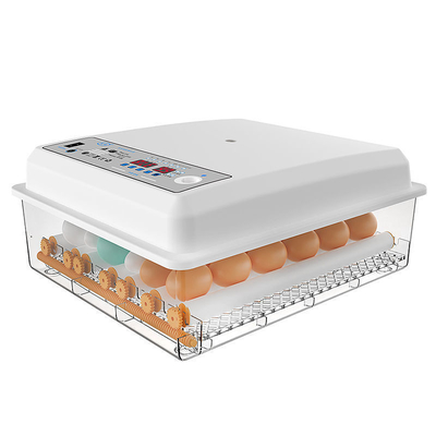 16 ovos mini-incubadora automática digital para outros produtos para animais de estimação dentro do porto de embarque