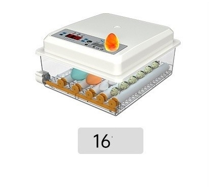 16 ovos mini-incubadora automática digital para outros produtos para animais de estimação dentro do porto de embarque
