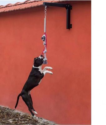 Set de mola de mola profissional pesado para cães até 105 lbs-210 lbs Animais de estimação