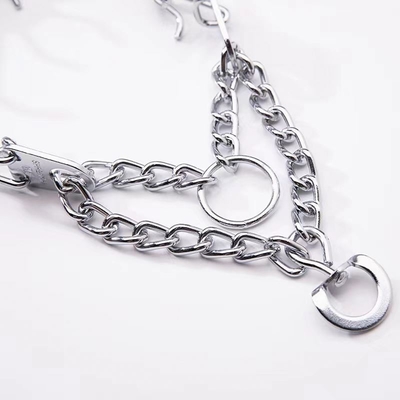 Colarinho de Cão Prateado para Treinamento de Animais Aheasoun Prong Colarinho Choke Colarinho Pinch Colarinho