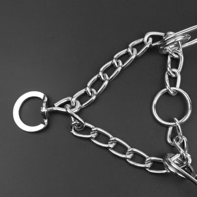 Design Metal Desmontável Cão Treinamento Cadeia Colar para Treinamento de Animais de estimação Personalizado