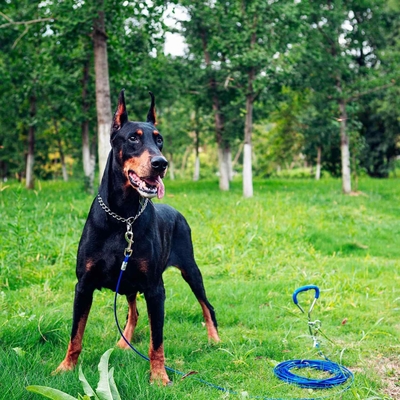 Atividades ao ar livre Estaca de ligação de cães com capacidade de peso de 100-150 kg / 220-330 lbs