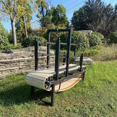 Máquina de corrida para cães revestida de pó para eletroforese de exercício interior