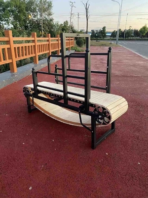 Máquina de corrida para cães revestida de pó para eletroforese de exercício interior