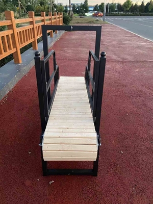 Máquina de corrida para cães revestida de pó para eletroforese de exercício interior