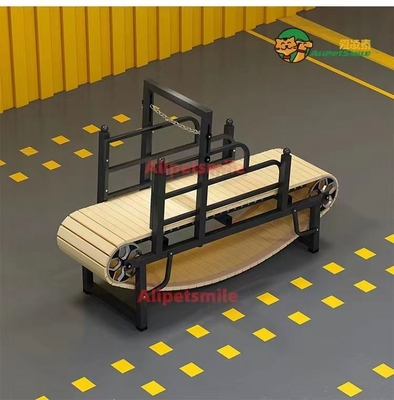 Máquina de treino para cães sem motor Máquina de treino para cães
