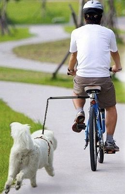 Todas as bicicletas Fácil de instalar Bicicleta Leash Cão Segurança Leash de bicicleta Cão Adequado para preto