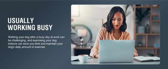 Máquina sustentável para passear cães Equipamento de peso e agilidade SAP personalizado para filhotes ativos