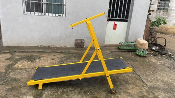 Equipamento de agilidade de aço de cores e tamanhos diferentes