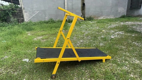 Equipamento de treino de animais de estimação seguro e durável esteira dobrável para cães grandes aceita OEM ODM