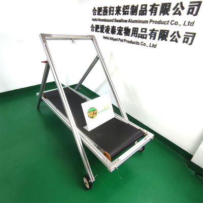 Envio rápido para Shanghai ou Nanjing Port Dog Treadmill para cães médios e grandes