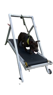 Moinho de Algodão de Alumínio Médio e Grande Cão para Corrida e Treinamento Aceitável Opção OEM ODM