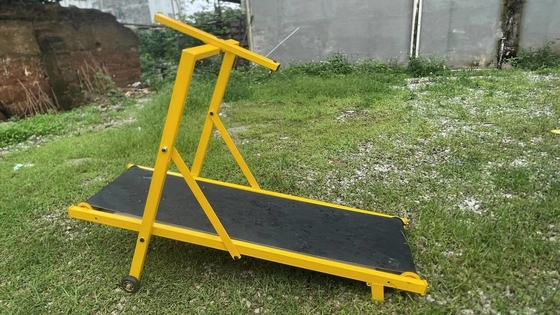 Quantidades de carregamento 20 GP Carregamento 70 conjuntos de esteira para cães com função de corrida ajustável