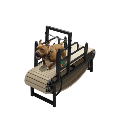 Quantidades de carregamento 40 HQ carregamento 168 conjuntos Classic Slatmill Dog Training Tool para cães