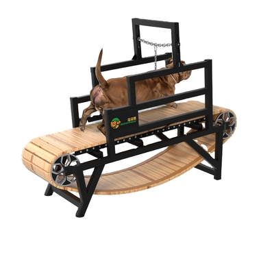 Quantidades de carregamento 40 HQ carregamento 168 conjuntos Classic Slatmill Dog Training Tool para cães