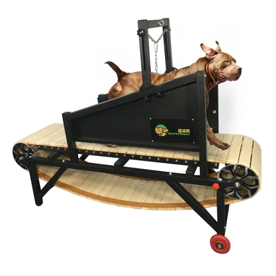Equipamento de agilidade para cães de médio e grande porte