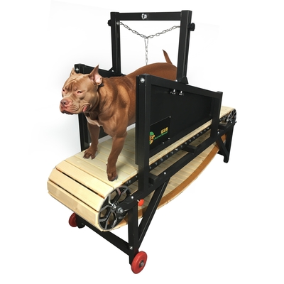 Roda mecânica para cães para cães grandes Aceitável OEM ODM Design de rodas Incluído