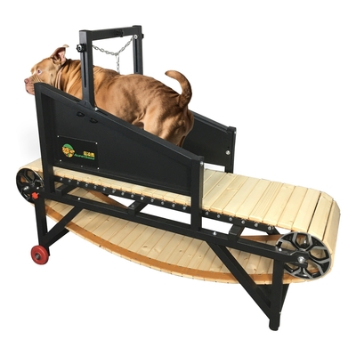 Roda mecânica para cães para cães grandes Aceitável OEM ODM Design de rodas Incluído