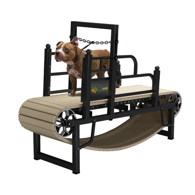 Máquina de corrida para cães sem motor para exercício sustentável