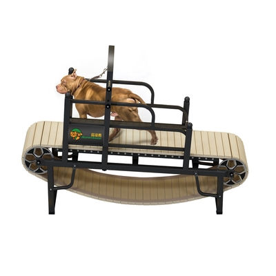 Máquina de corrida para cães sem motor para exercício sustentável