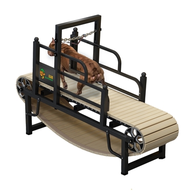 Máquina de corrida para cães sem motor para exercício sustentável