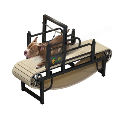 Máquina de corrida para cães sem motor para exercício sustentável