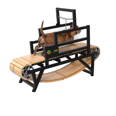 Máquina de corrida para cães sem motor para exercício sustentável
