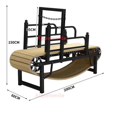 Trampolínia para cães para cães grandes Animais pequenos Design aprovado e personalizado