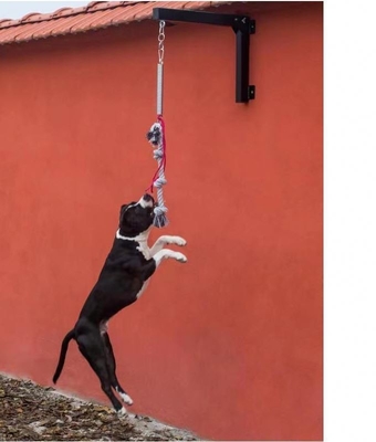 Brinquedo de corda durável e estimulante para cão Pitbull