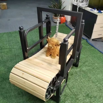 Caminhadeira de treino de animais de estimação de tamanho personalizado para cães pequenos produtos de comportamento sustentável