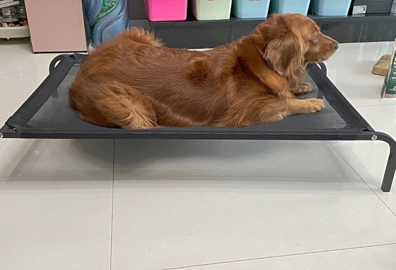 Cama para cães com revestimento em pó com design respirável e material impermeável