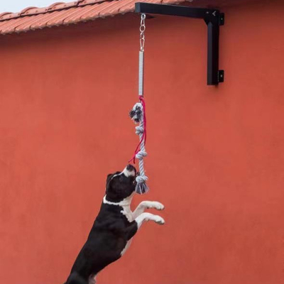 Equipamento de exercício forte e durável para animais de estimação