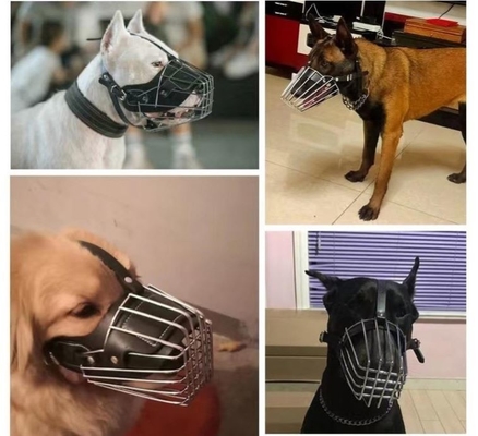 Treinamento de animais de estimação Essential Metal sólido e couro focinho de cão com decoração colorida