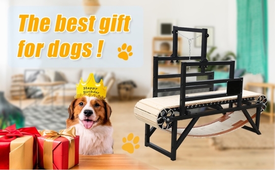 Alipetsmile Versão 2.0 Wood Dog Treadmill Levar a Aptidão Canina para o Próximo Nível