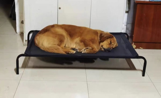 Cama portátil XL de aço inoxidável com design elevado e representação animal
