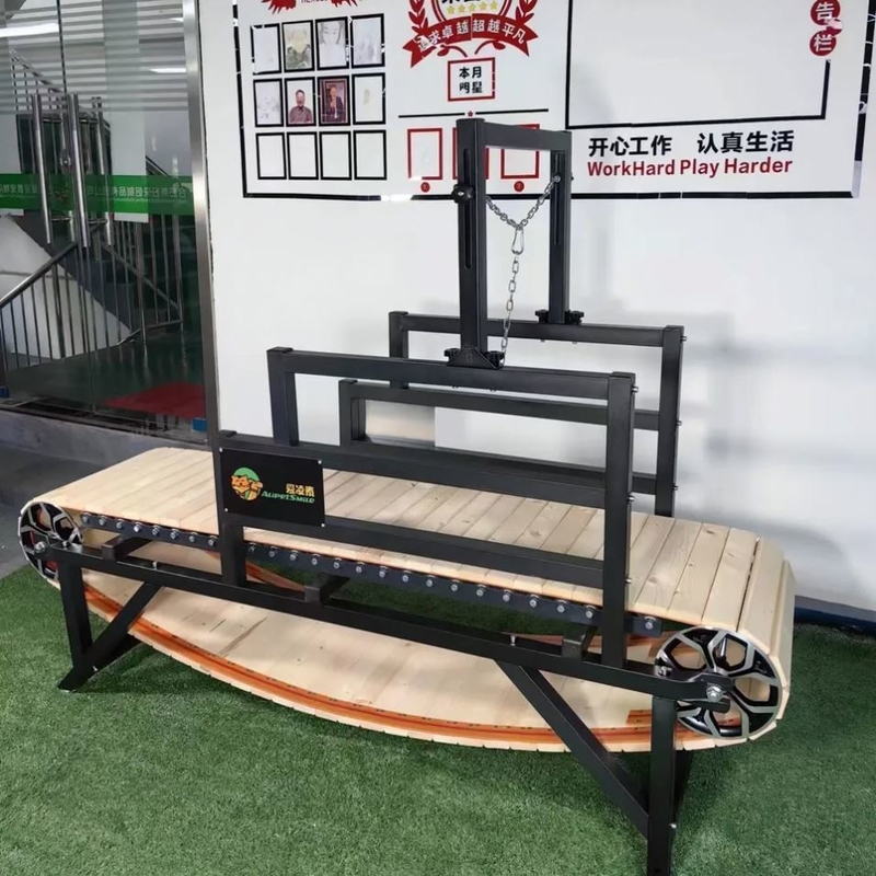Large Dog Treadmill 3.0 para Ebay Shop Sustentável e Personalizado Tamanho Pet Exercício