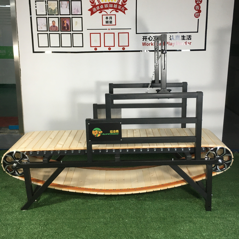 Taxa personalizada de esteira ideal para o treinamento e o progresso do exercício dos cães