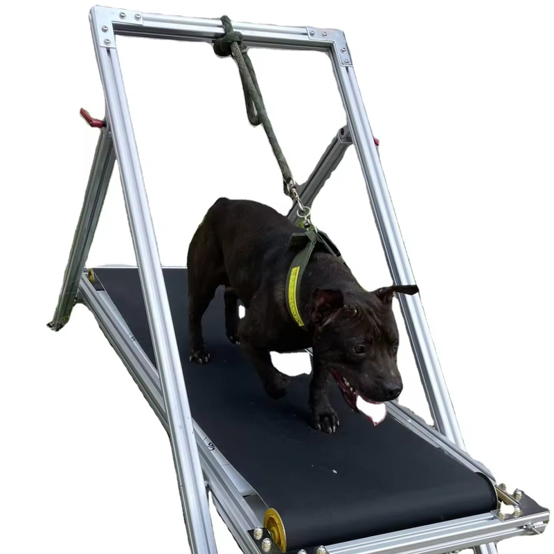 Exercício do cão Slatmill Animais de estimação esteira máquina de caminhada para Pit Bull