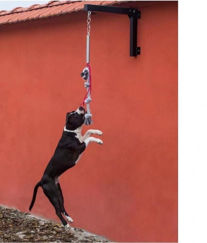 Pitbulls Cães de suporte de poste de primavera Tipo de item Outros com construção resistente